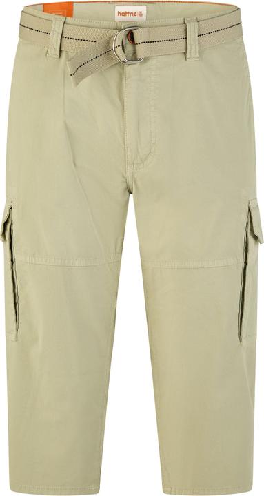 Hattric Cargo Shorts (40)