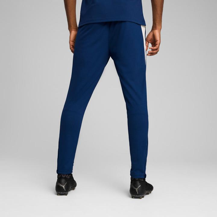 Actual product image Puma FPF Training Pants (L)