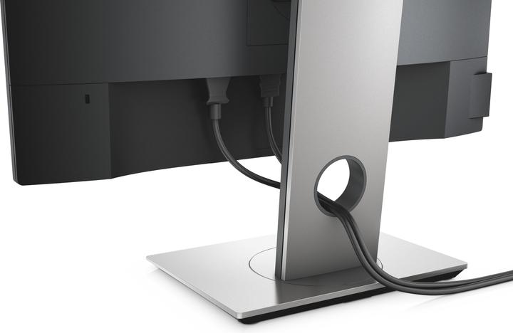 Actual product image Dell P2217 (1680 x 1050 pixels, 22")