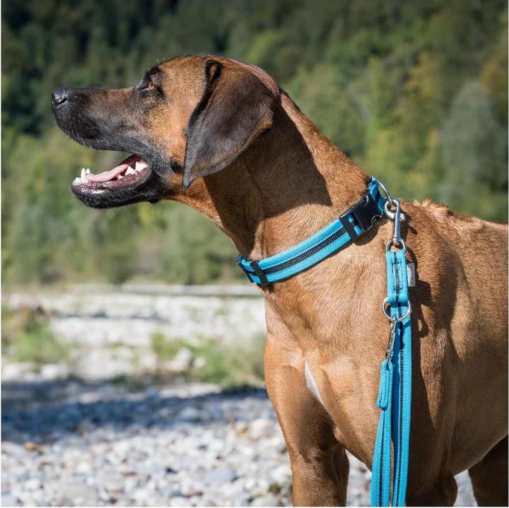 Image du produit Beat Grossenbacher Collier bordé, direct (40, 41, 42, 43, 44, 45, 46, 47, 48, 49, 50, 52, 54, 56, 58, 60, Chien)