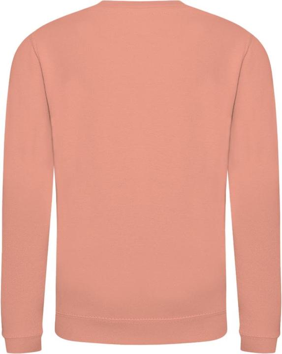 Immagine prodotto Awdis Felpa pullover Just Hoods a tinta unita (158)