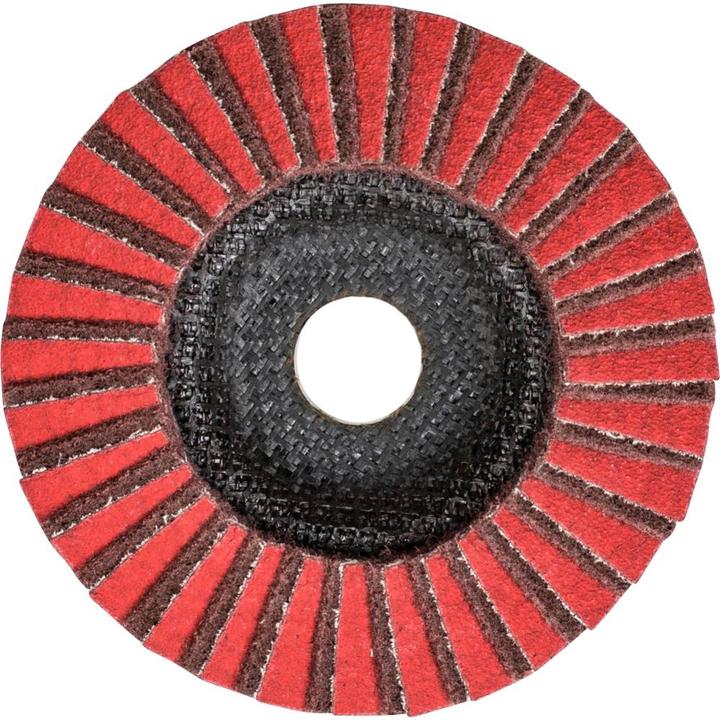 Actual product image Pferd Fächerschleifscheibe (80, 100)