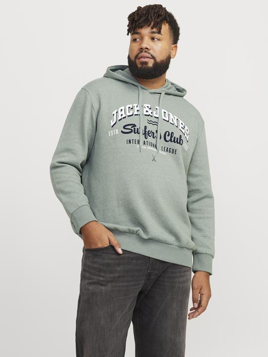 Image du produit Jack & Jones JJELOGO SWEAT HOOD 2 COL 24/25 NOOS PLS (6XL)