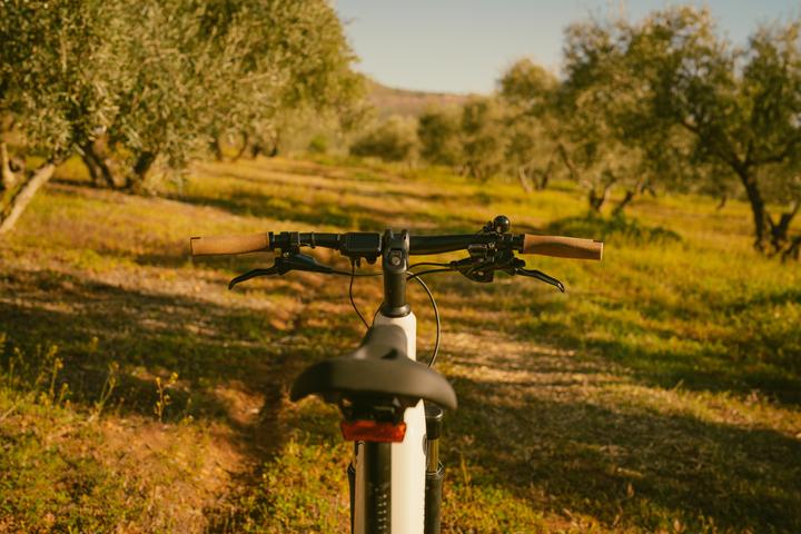 Produktbild Rockrider E-Bike SUV Trekking 28 Zoll e-actv 500 LF niedriger Einstieg Yamaha beige
