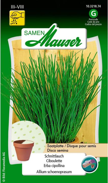 Samen Mauser Chives seed plate (Herb seeds)
