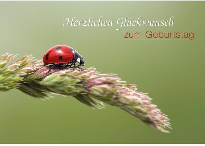 Produktbild Geburtstagskarte - Marienkäfer auf Halm (1 Stk.)