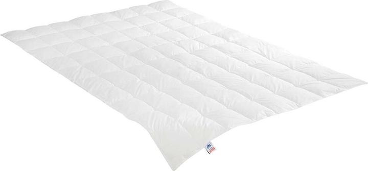 Image du produit Irisette Couette Emily légère, remplissage : 90% duvet, 10% plumes (400 g, 200x200 cm)