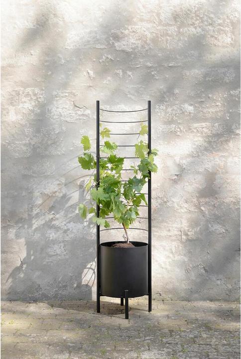 Actual product image Eva Solo - Simply Grow Plant Pot Trellis - Black - 145x42x21 cm