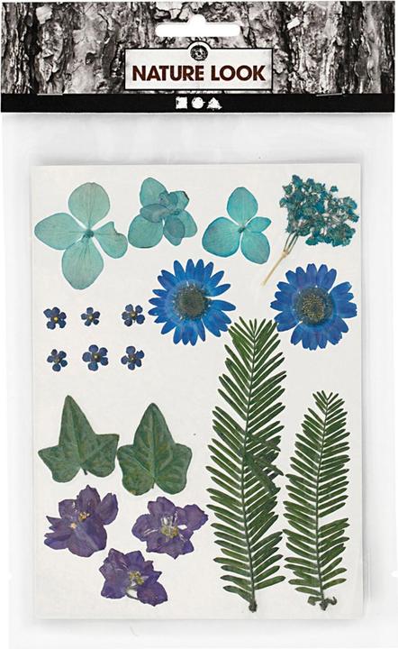 Produktbild Creativ Company Gepresste Blüten (2 x 15 x 20 cm)