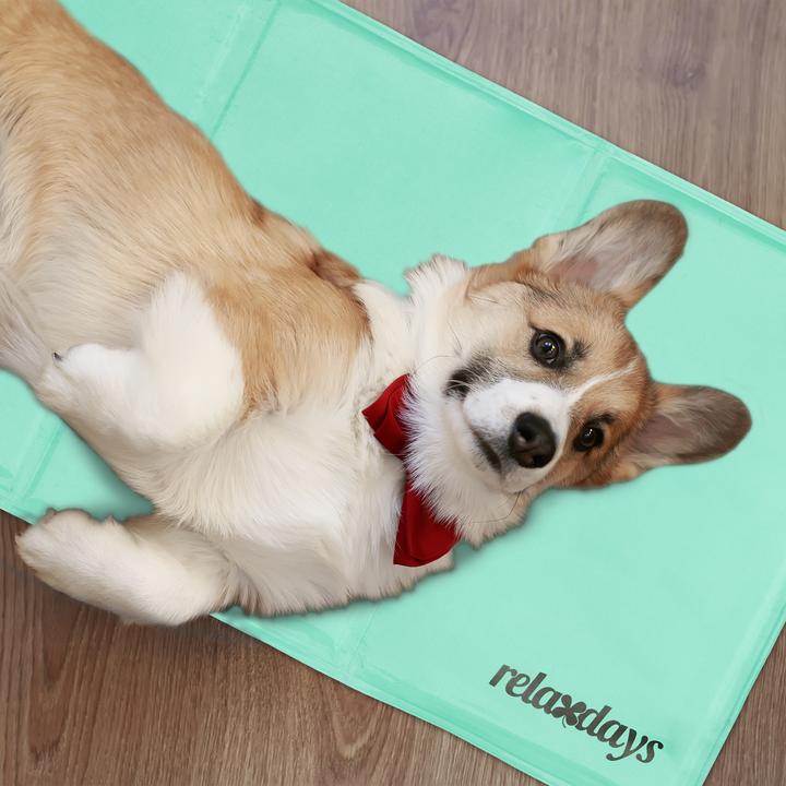 Productafbeelding Relaxdays Koelmat hond (Hond)