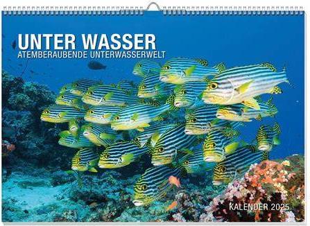 Produktbild Unterwasserwelten Premiumkalender 2025 (60 x 42 cm, Deutsch)