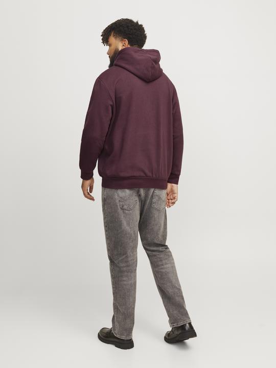 Immagine prodotto Jack & Jones Jjecaleb Varsity Sweat Hood Noos Pls (3XL)