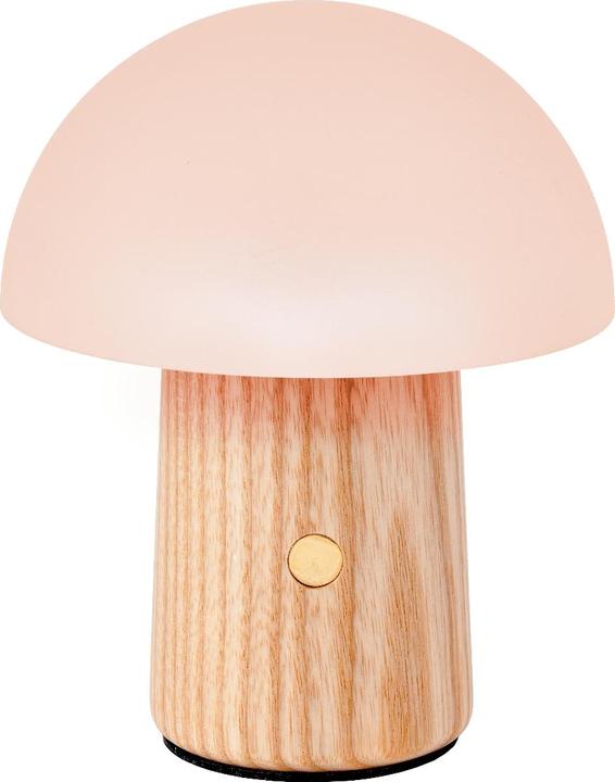 Image du produit Gingko Alice