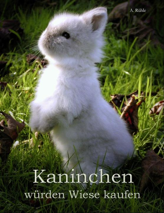 Produktbild Kaninchen würden Wiese kaufen (Deutsch, Andreas Rühle, 2009)