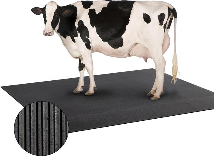 Produktbild ETM Stallmatte aus Gummi (200 x 100 cm)