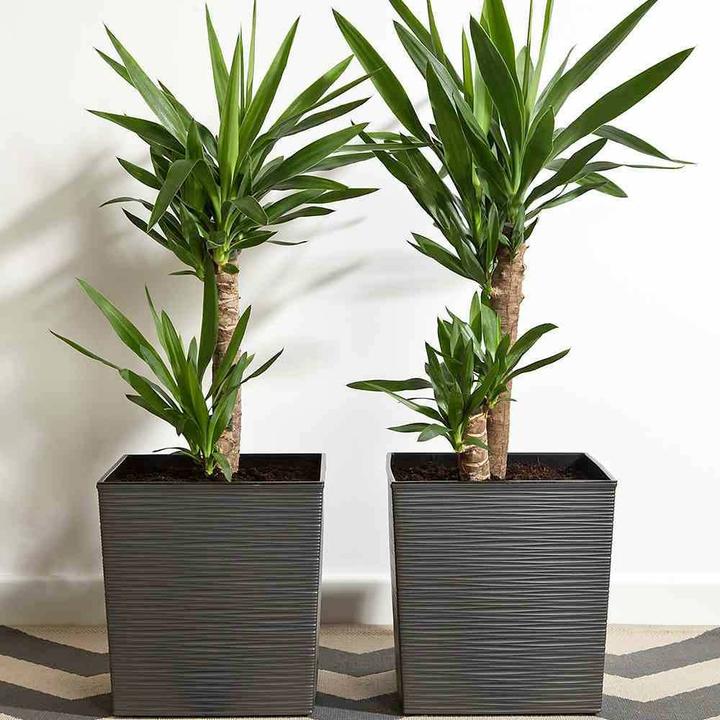 Immagine prodotto Siena Garden Modern (30 cm)