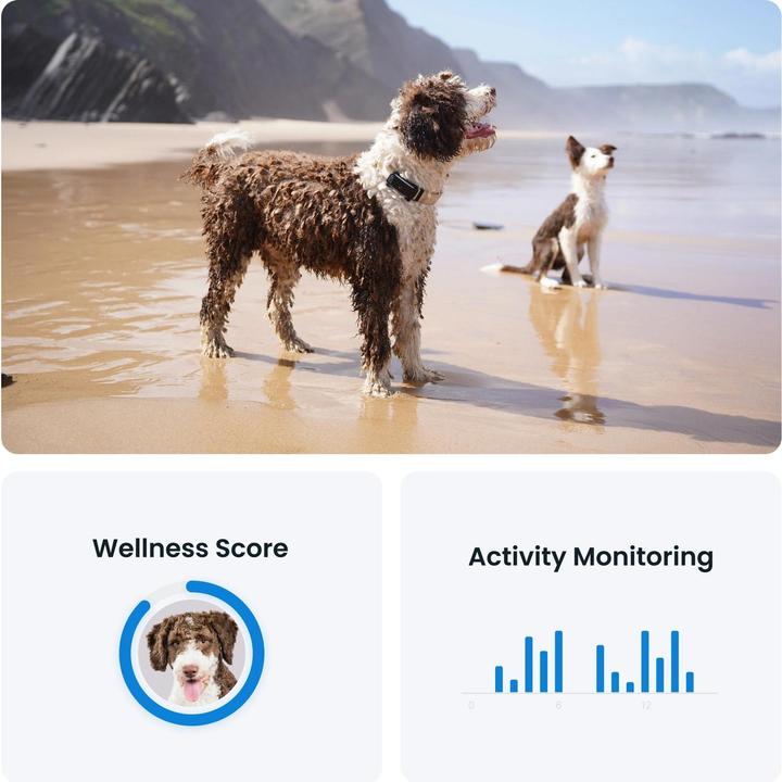 Immagine prodotto Tractive GPS Tracker Dog 6 (Cane, Passeggiare)