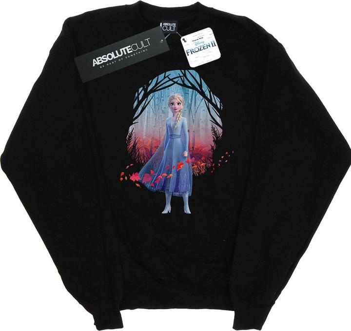 Produktbild Disney Frozen 2 Elsa Find The Way Sweatshirt Mädchen (140, 146)