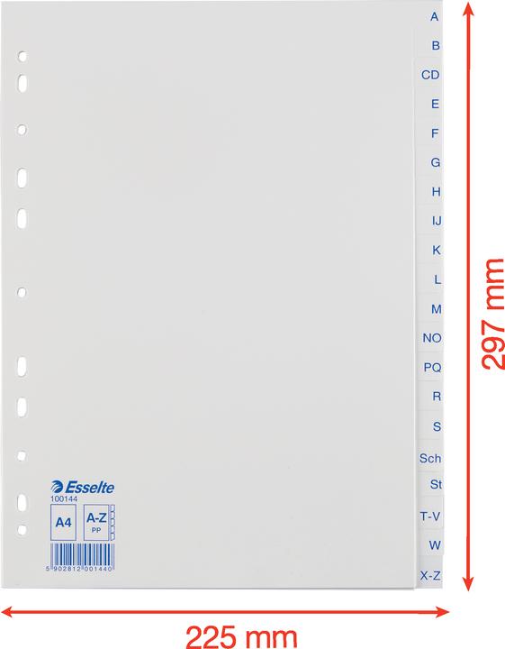 Actual product image Esselte Economy plastic register