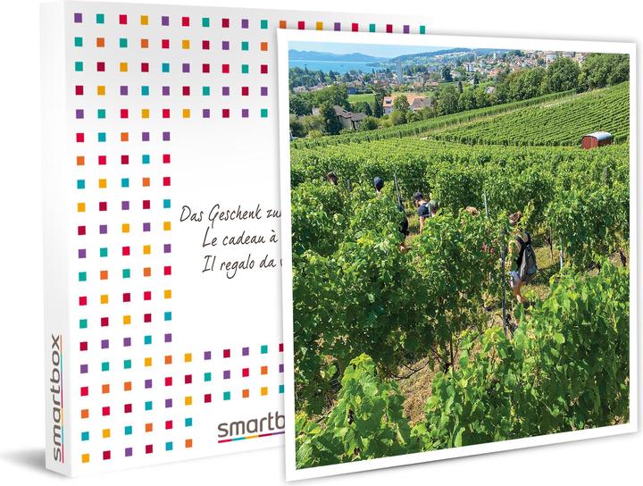 Image du produit Smartbox Promenade dans le vignoble neuchâtelois et dégustation de vins aux caves de Béroche (2 pers.)