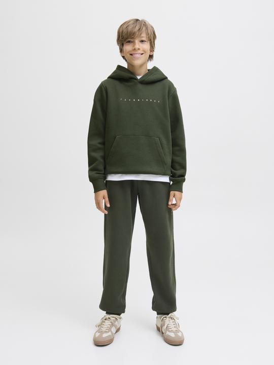 Actual product image Jack & Jones Jjestar Jj Sweat Hood Noos Jnr (128)