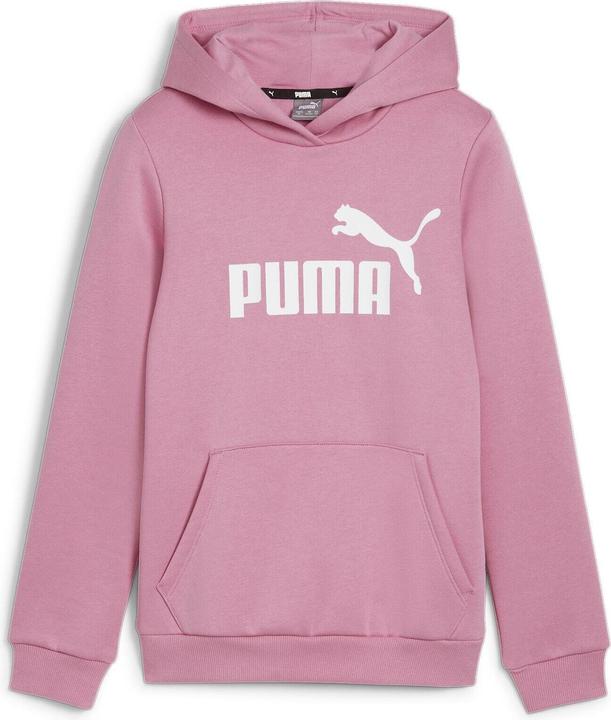 Puma ESS Logo Hoodie FL G