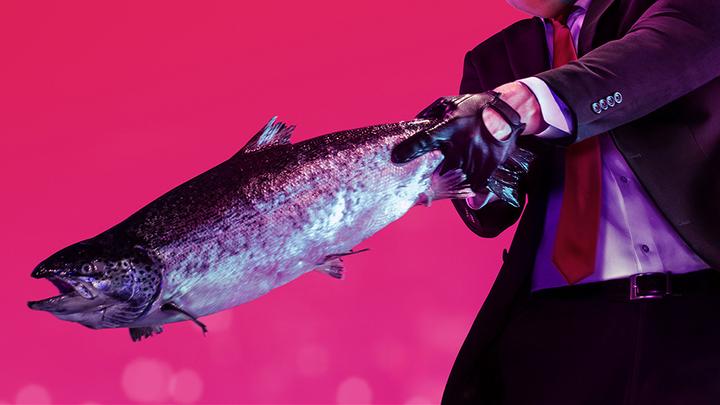 Image du produit WB Hitman 2 (Xbox One S)
