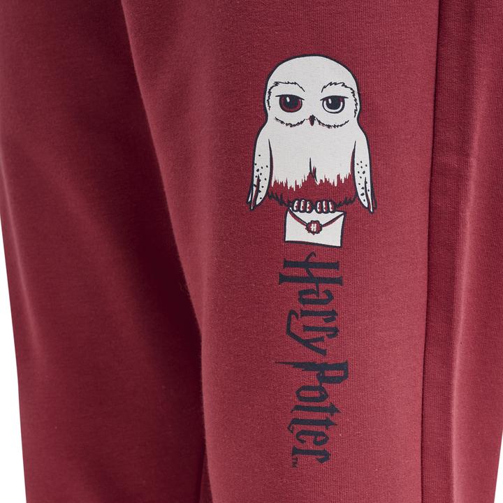 Image du produit hummel Hmlharry Potter On Pants (104)