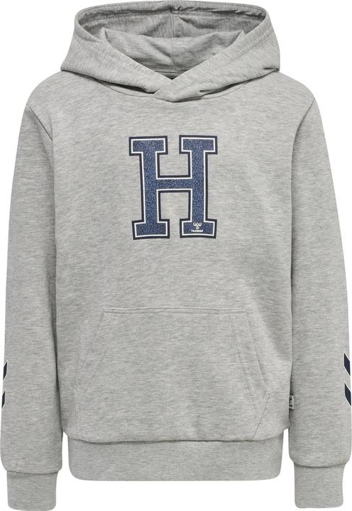 Produktbild hummel Geography Hoodie (134)