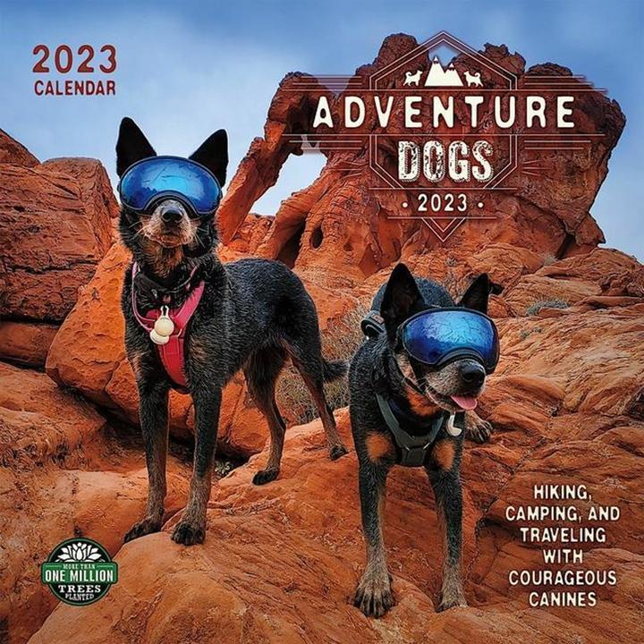 Produktbild Adventure Dogs 2023 Wall Calendar (Englisch)