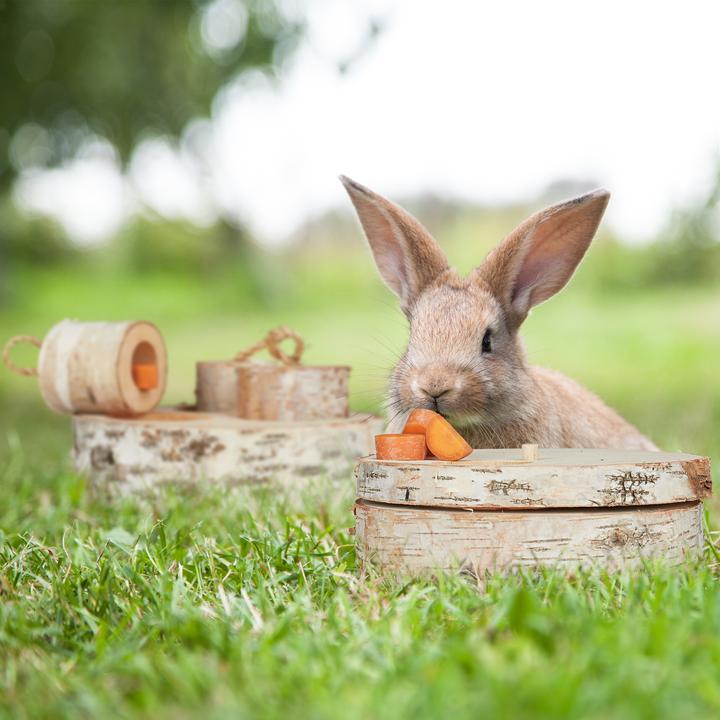 Actual product image Relaxdays Rabbit activity-toy