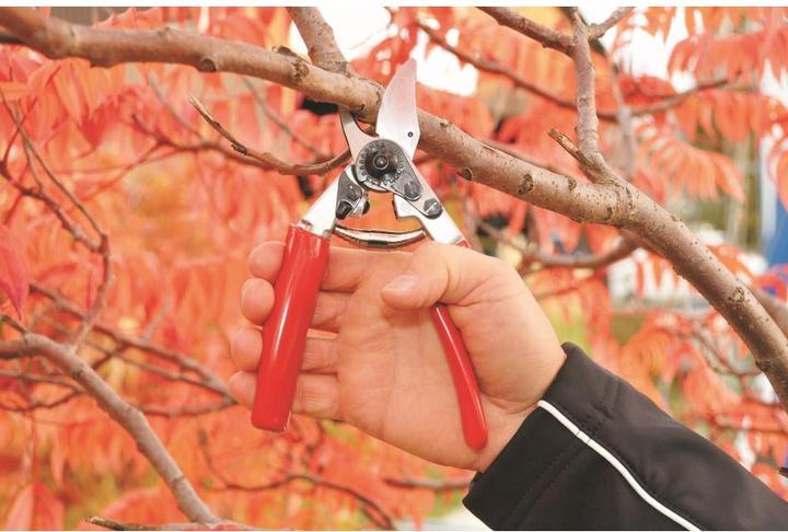 Produktbild Felco Gartenschere 12