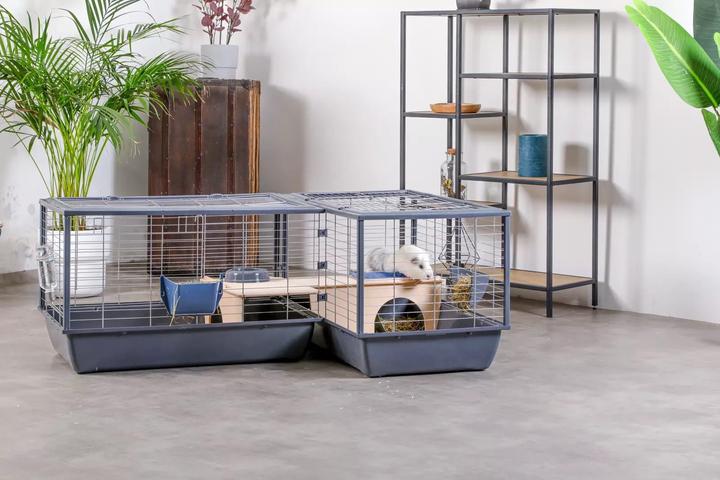Produktbild Zolux Klatka NEOLIFE CONNECT Królik kawii 100cm sza