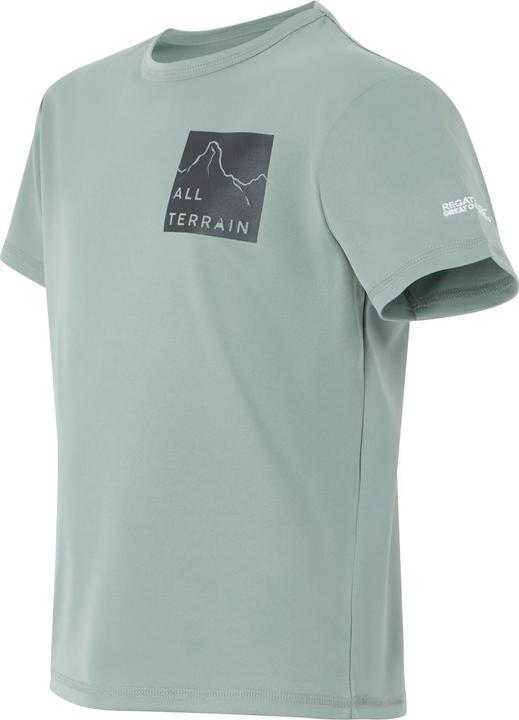 Produktbild Regatta Alvarado IX All Terrain TShirt (170, 176)