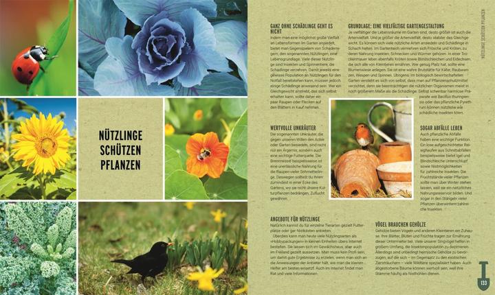 Produktbild Ackerhelden - Biogärtnern für Einsteiger (Deutsch, Ackerhelden GmbH, 2022)