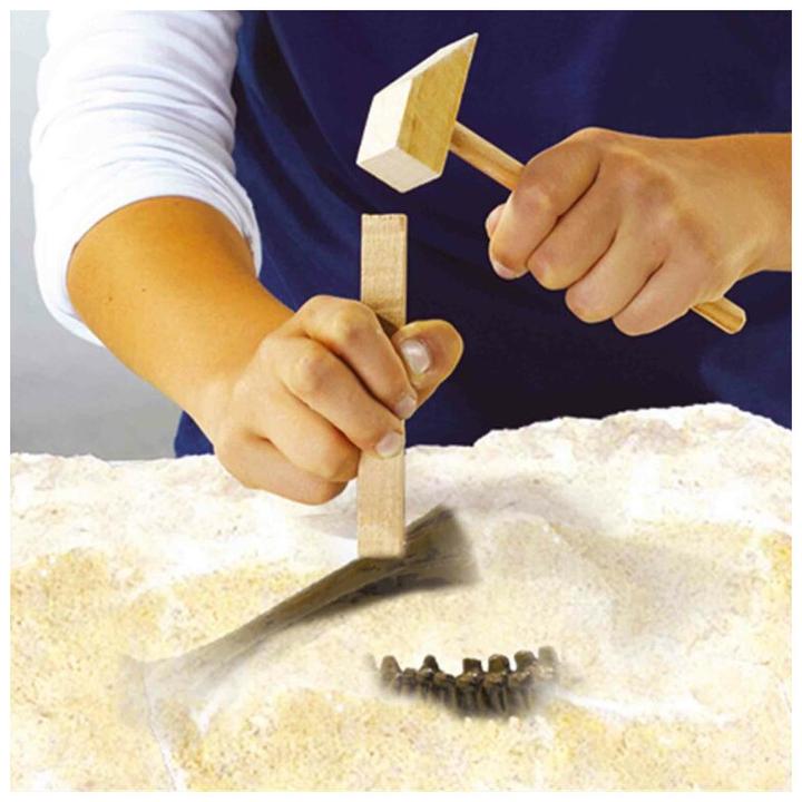 Produktbild Ses Explore Dino and Skeleton Dig 2in1 – T-Rex