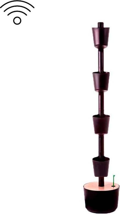 Actual product image BeMaxx Pull Up Resistance Band (Extra strength)