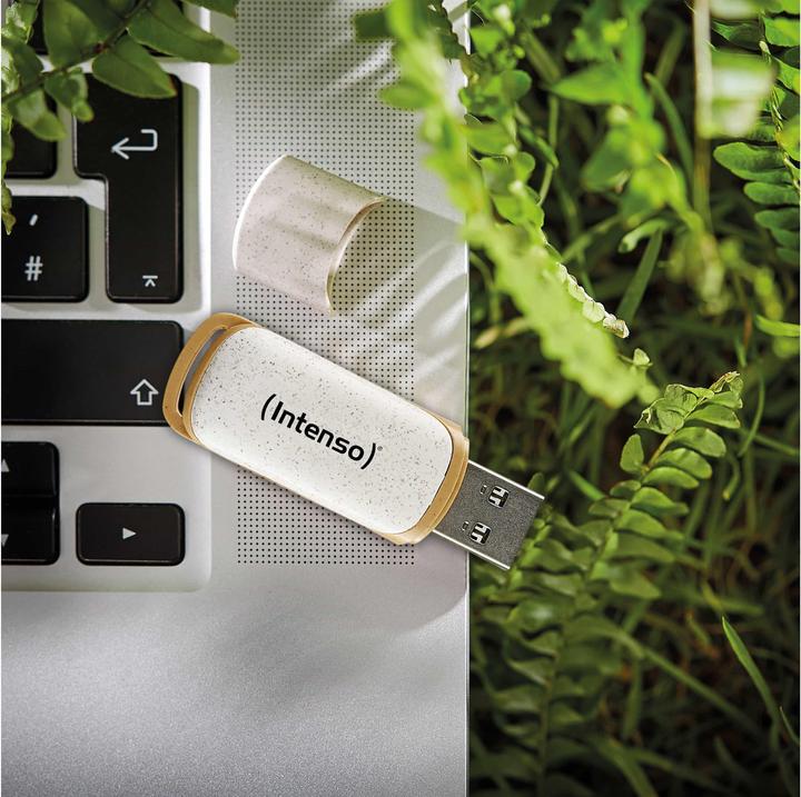 Actual product image Intenso Green Line (128 GB, USB-A)