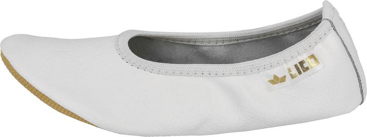 Actual product image Lico G1 (28)