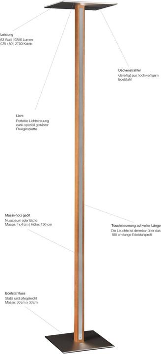 Produktbild Stückholz Säntis 1 (9250 lm)