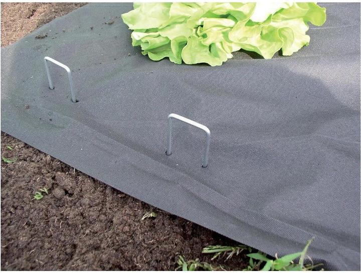 Actual product image Windhager Metal pegs