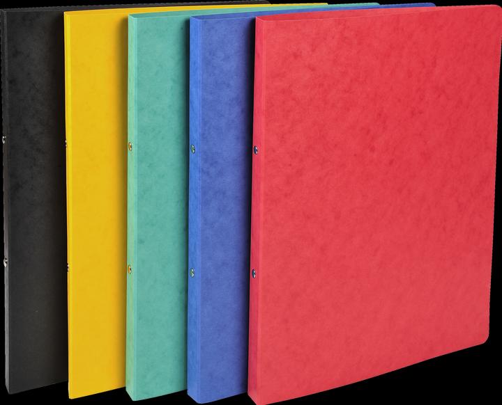 Actual product image Exacompta Ring binders (A4, 20 mm, 1 Piece)