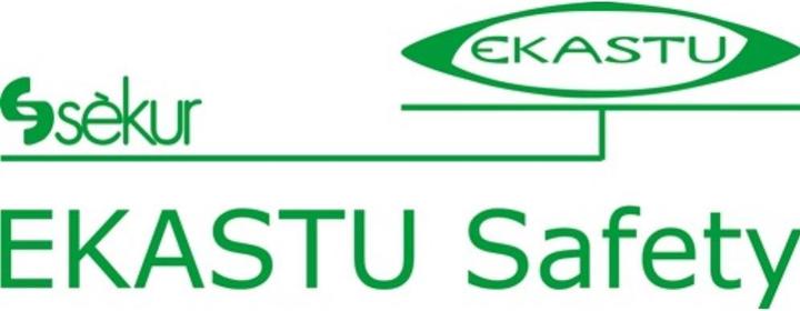 Produktbild Ekastu Sekur Mehrbereichskombifilter 230 A2B2E2K1-P3R D f.2 St./Btl.EKASTU (Atemschutzmaske Ersatzfilter)