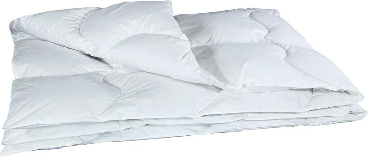 Produktbild Albis Wave 400 preisgünstiges Daunenduvet (700 g, 160 x 210 cm)