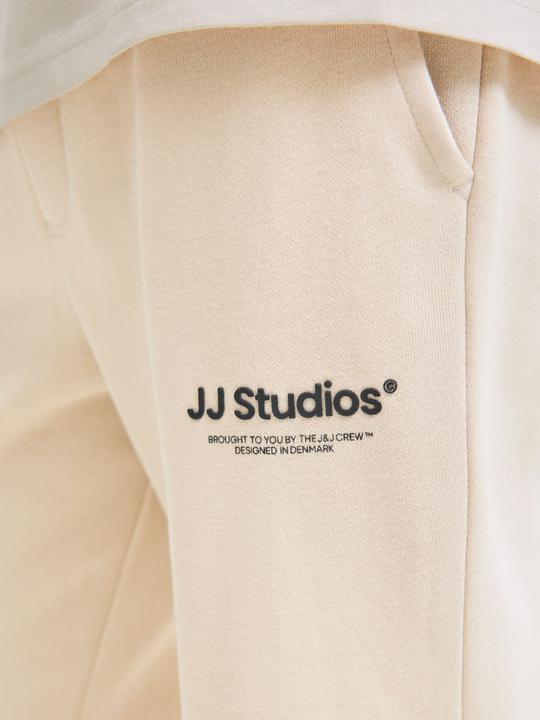 Actual product image Jack & Jones Relaxed Fit Hosen Junior Relaxed Fit Hosen (176)