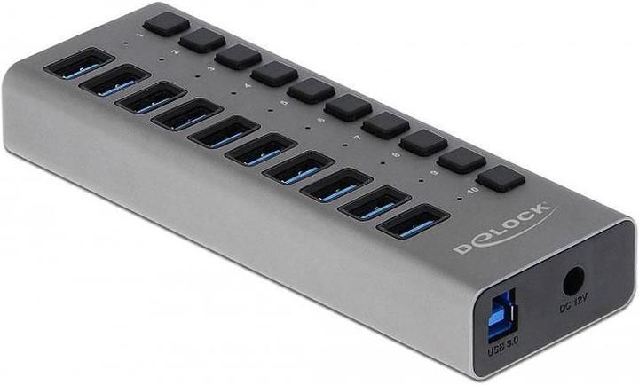 Actual product image Delock Stabil (USB-B, 10 Ports)