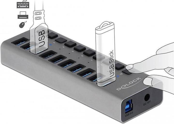 Actual product image Delock Stabil (USB-B, 10 Ports)