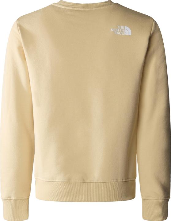 Actual product image North Face New Graphic Crew (XS)