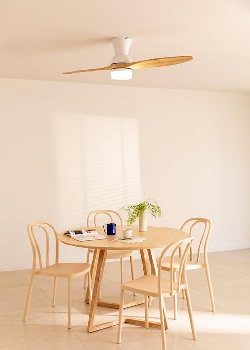 Immagine prodotto Create Wind Prop (50 dB)