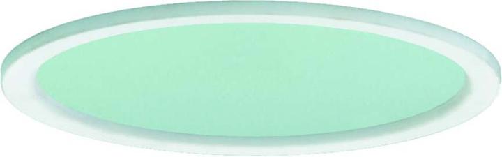 Actual product image Ridi Microprism disc